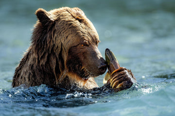 A Tight Grip