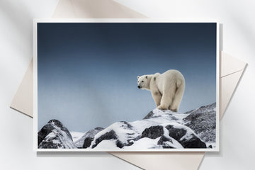 Greetings Cards (Pack of 10)